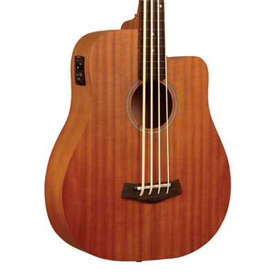 Gold Tone M-Bass25/FL Fretless 25.5" Scale Microbass image 1