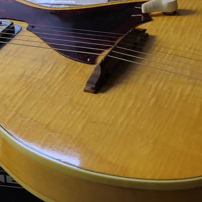 SUPER FLAMEY EXC+ 1962 Harmony H48 Stratotone Mercury w/OHSC! image 1