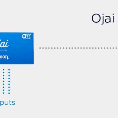 Strymon Ojai R30 Expansion Kit image 2