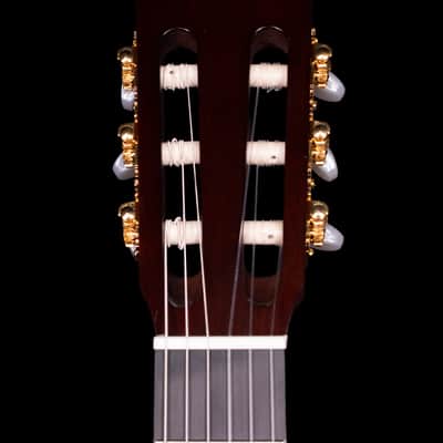 Yamaha CG182C Classical Acoustic Guitar image 9