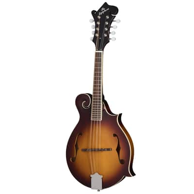 Epiphone F-5 Studio Mandolin w/ Gig Bag - Vintage Sunburst Satin image 5