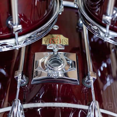 Premier Signia Maple Cherrywood 10,12,16,20 image 8