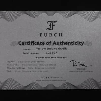 Furch Yellow Deluxe Gc-SR Gc w/ Bevel Duo (Spruce top) Hard case image 13