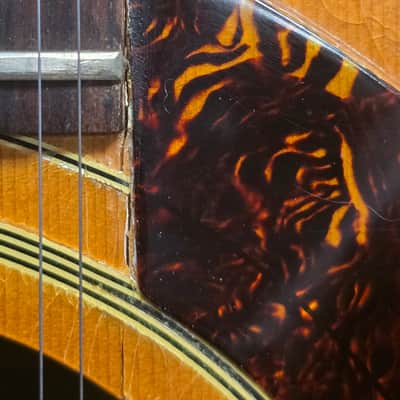 1967 USA Epiphone FT112 Bard 12 String Acoustic Guitar image 6