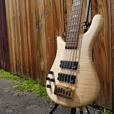 Spector USA NS-5XL - Curly/Flame Solid Wings Oil Finish Left-Handed 5-String Bass Guitar w/ Black Tolex Case (2023) image 1