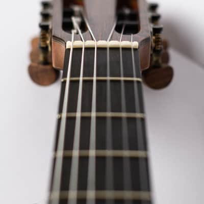 Made to order Handmade Guitar Crossover Solid Woods Brazil French Polish image 8