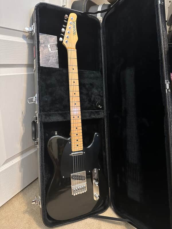 Hamer USA T51 1994 image 1