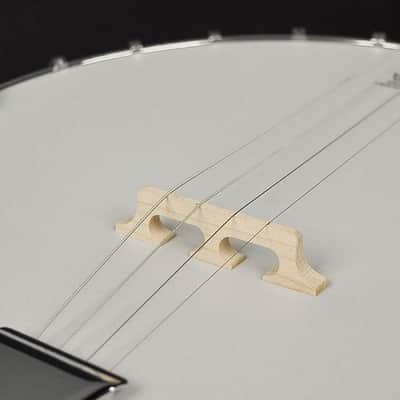 Richwood RMB-604 Tenor Banjo image 7