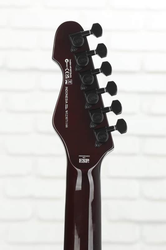 ESP LTD TE-200 with Jatoba Fretboard 2018 - Tobacco Sunburst image 1