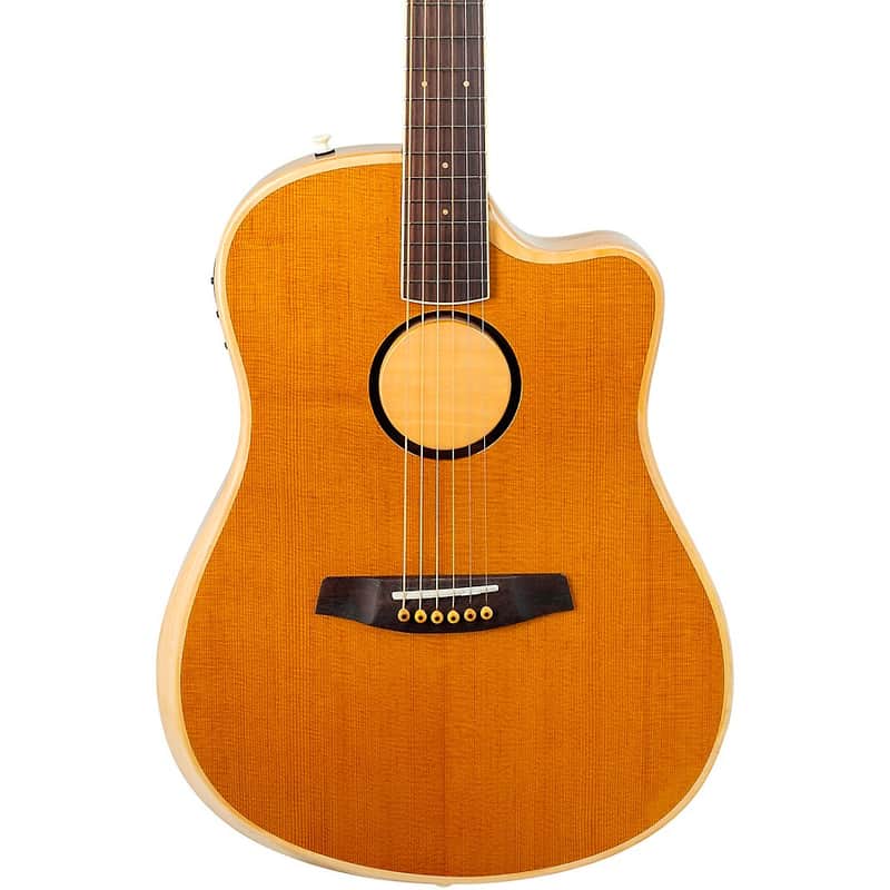 LR Baggs AEG-1 image 4