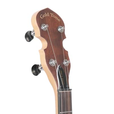 Gold Tone EB-5 Solid Body Mahogany Top Maple Neck 5-String Electric Banjo with Gig Bag image 9