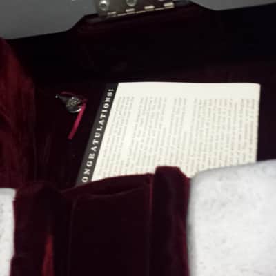 Mark Leaf Near Mint Condition! Classical Guitar Case, Silver/Burgundy image 9
