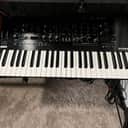 Korg Prologue 8 Polyphonic 49-Key 8-Voice Analog Synthesizer 2018 - Present - Black/Wood