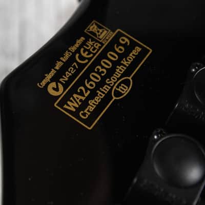 Schecter Wylde Audio Berzerker Solid Body Electric Guitar Blood Skull image 14