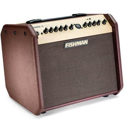 Fishman LoudBox Mini 60-watt 1 x 6.5" Acoustic Guitar Amplifier image 2