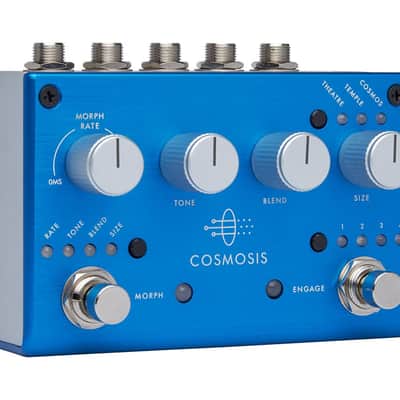 Pigtronix Cosmosis Stereo Morphing Reverb Pedal [DEMO] image 2