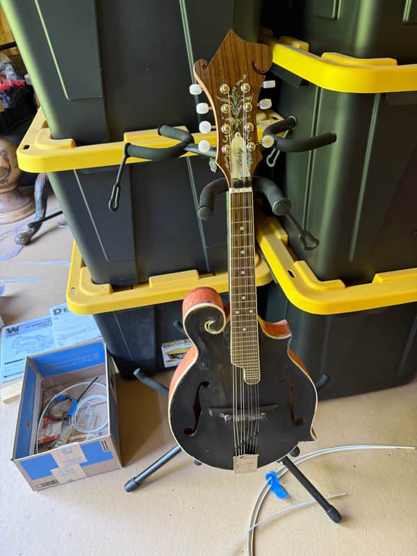Handmade Berry Mandolin F5 2025 - Satin image 1