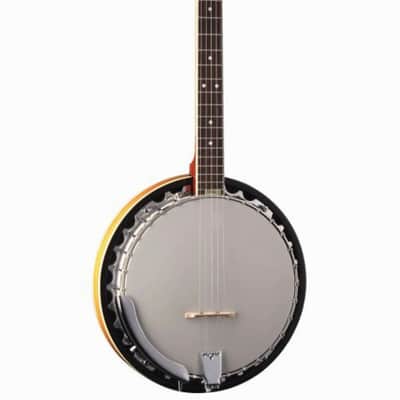 Washburn B9 Americana Series (5 String) Banjo. Sunburst image 4