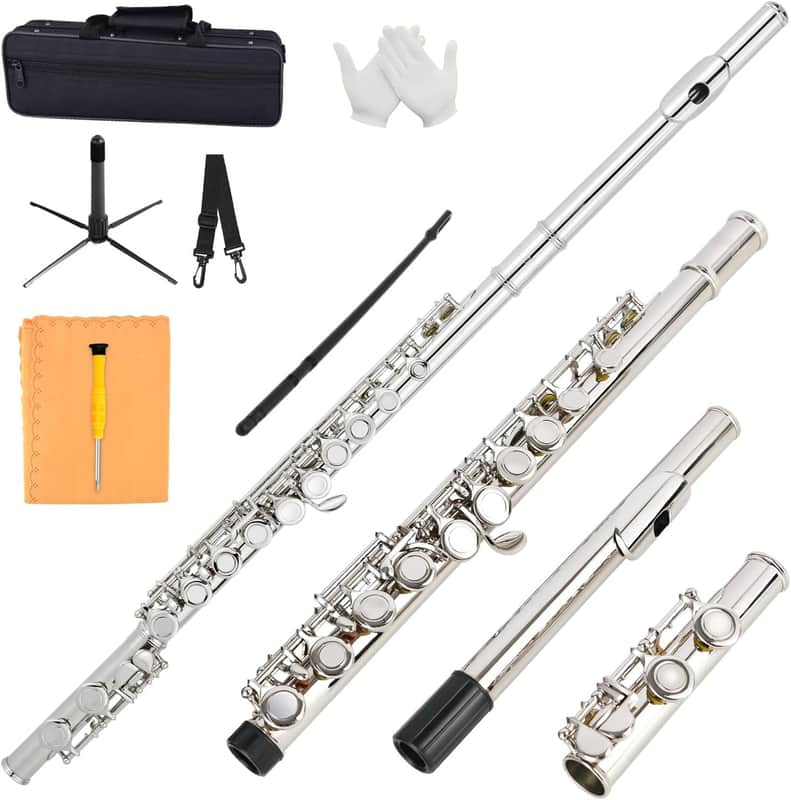 Closed Hole C Flute 16 Keys Nickel-Plated Flutes For Beginners Student Flute Instrument With Case Stand Gloves Tuning Rod (Silver) image 1