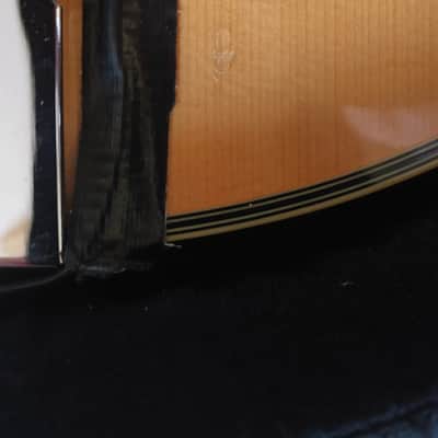 Countryman Octave Mandolin 2000-2010 image 5