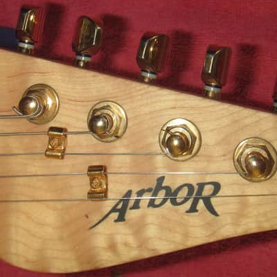Arbor Strat style guitar 2000's? - Charcoal quilt w/Padded gig bag. image 5