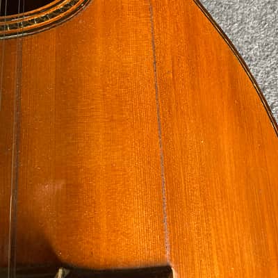 12-string laud made by renowned Spanish luthier Modesto Borreguero in 1952 image 14
