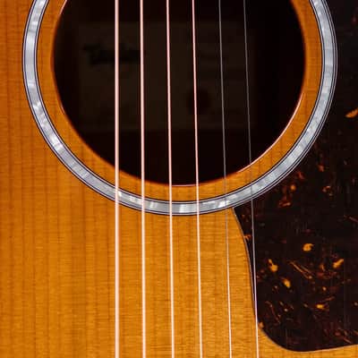 Taylor 214ce-K DLX Special Edition Grand Auditorium Acoustic/Electric Guitar - Honeyburst with Hardshell Case image 10