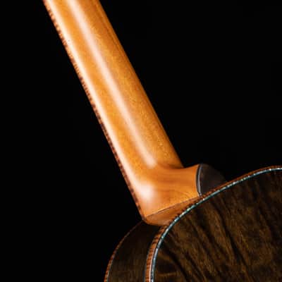olaMestre ancient Spruce 5250 years old and ancient Phoebe zhennan 2440 years old tenor ukulele image 17
