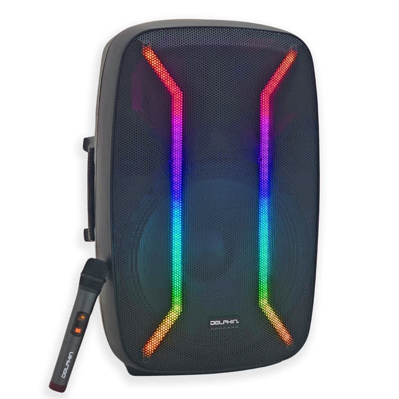 Dolphin SP-2115R 15" Professional Party Speaker with XLR inputs and more image 1