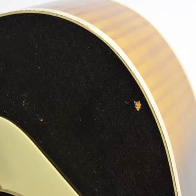 Vintage 1950s Kay L1648 5160 Acoustic Guitar - Brown Sunburst image 7