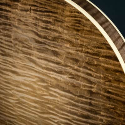 Deering 50th Anniversary Limited Edition 5-String Banjo NEW image 20