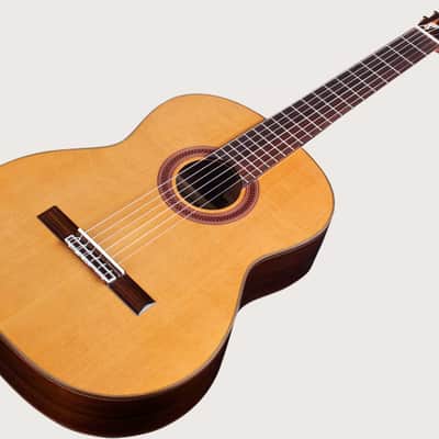 Cordoba C7 CD Solid Western Red Cedar Top Classical Nylon Guitar image 3