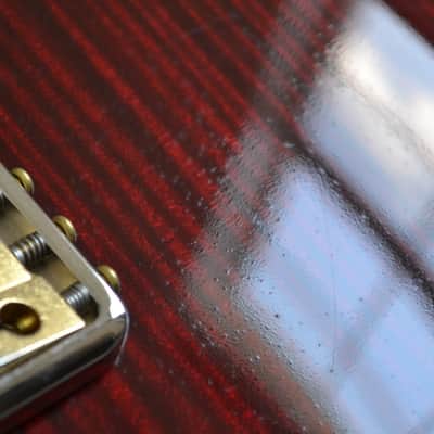 PRS Custom 24 30th Anniversary Artist image 20