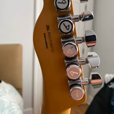 Fender Telecaster player plus custom image 8