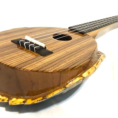 Turtle Shell Tenor Ukulele image 7