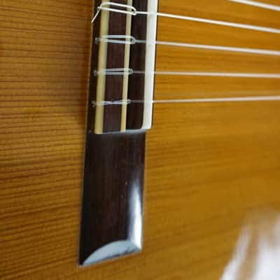 Charles Dick Luthiery Handmade Classical Guitar by Charles Dick Feb 2024 - 650mm Indian Rosewood image 11