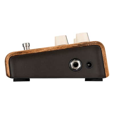 Mint LR Baggs Align Series Session Acoustic Saturation/Compressor/EQ Guitar Effects Pedal image 4