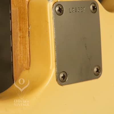 original 1964 Fender JAZZMASTER Olympic White w/matching headstock image 14