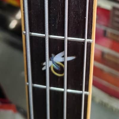Michael Kelly Firefly Acoustic Bass - Used - Clear Black finish w/ Hardshell Case image 4