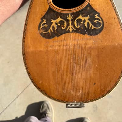 American Conservatory, Lyon & Healy Bowl Back Mandolin image 6