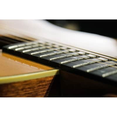 2002 J.W Gallagher & Son Guitar Company Model G-50 Doc Watson natural image 21