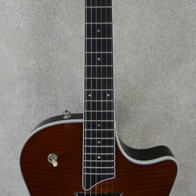 Taylor T3 With OHSC A great almost unplayed example ! image 8