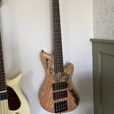 Alpher Instruments Mako 5 - Natural image 2