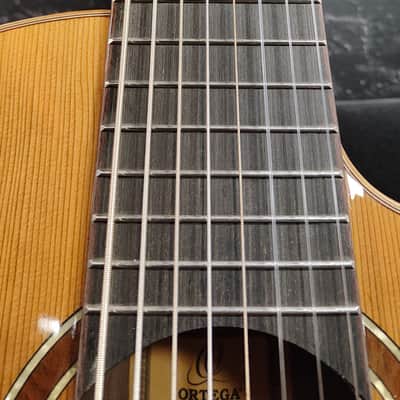 Ortega RCE 159-8 Performer Series 8-String Guitar image 4