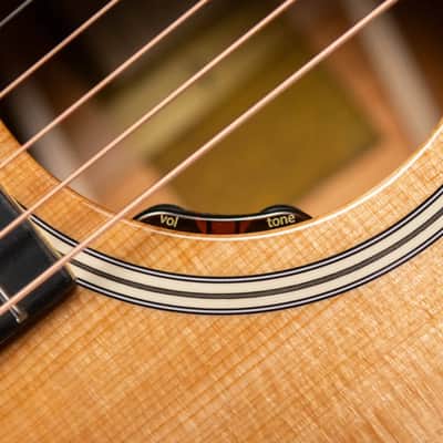 Taylor Gold Label 512e Grand Concert Acoustic/Electric Guitar - Natural with Hardshell Case image 12