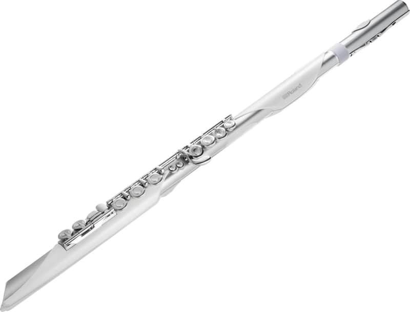 Roland Aerophone Brisa Digital Wind Instrument (AEBRISAd4) image 1