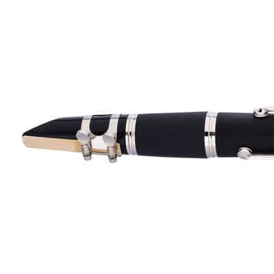 Stagg WS-CL210S ABS Body Boehm System Key of Bb 17 Nickel Key Clarinet w/Soft Case, Reed & Mouthpiece image 3