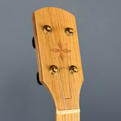 Pisgah Possum 11" 5-String Banjo with Persimmon Tone Ring Walnut Rim and Neck, Persimmon Fretboard image 10