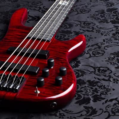 Wolf 5 String Jazz Bass Transparent Red Bass 2016 w/ Gigbag image 1