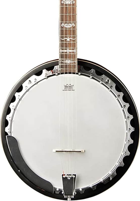 Washburn B10 Americana Series 5-String Resonator Banjo image 1